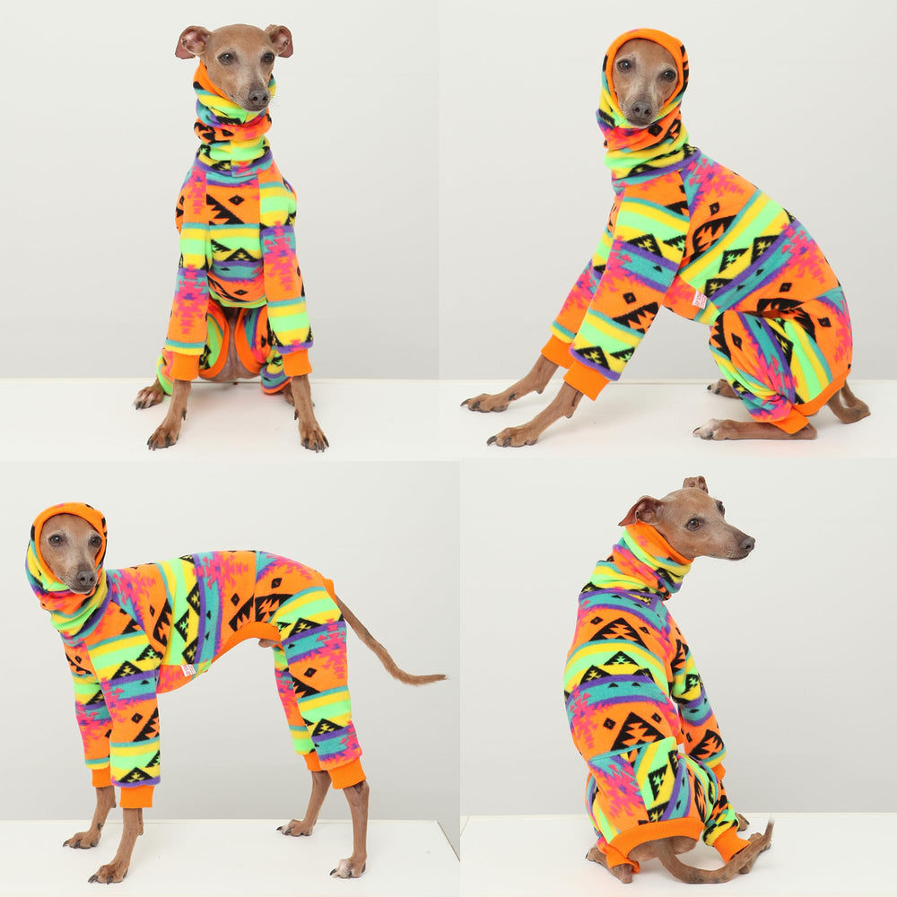 Doggystar ensemble enfilage facile pour chien.