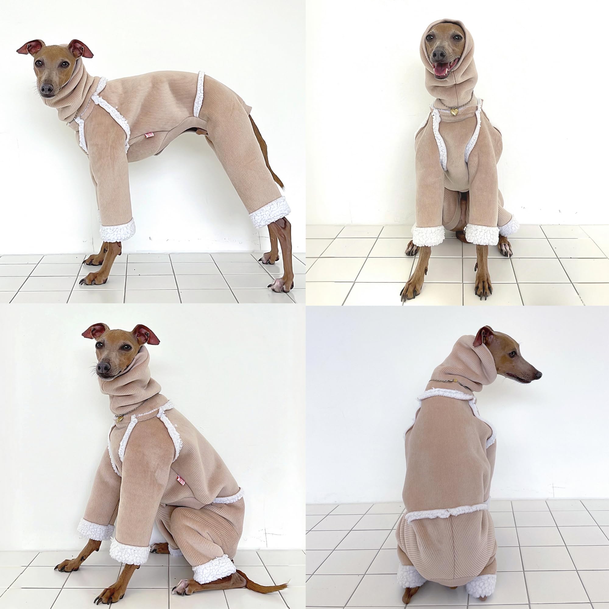 Doggystar extérieur velours côtelé beige, texture douce et élégante.