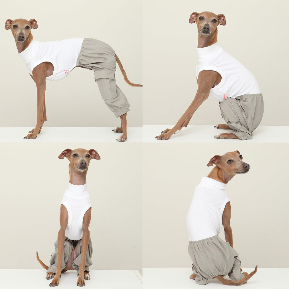 Doggystar fermeture simple pour combinaison: habillage facilité