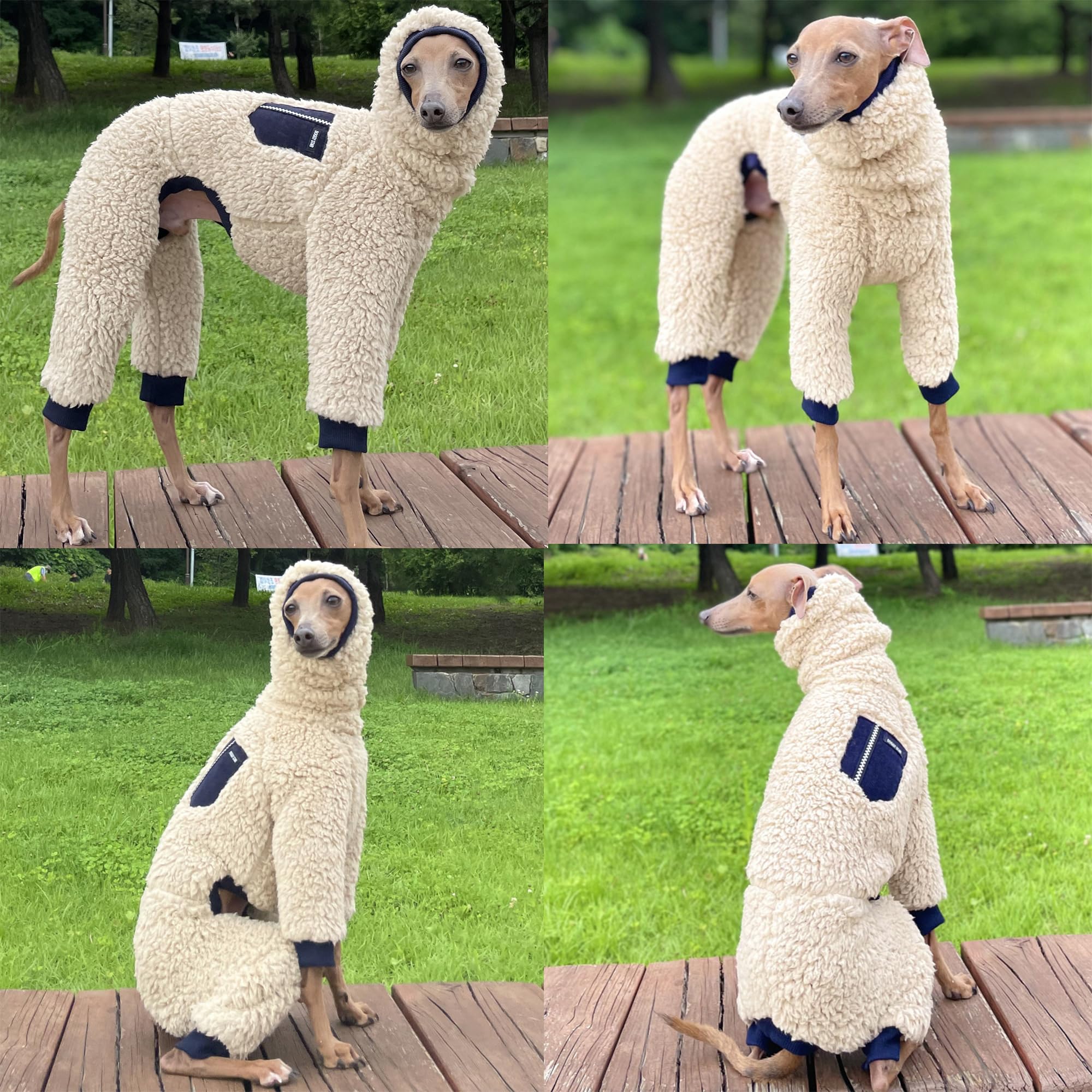 Doggystar galgo italien manteau pratique pour les promenades hivernales.