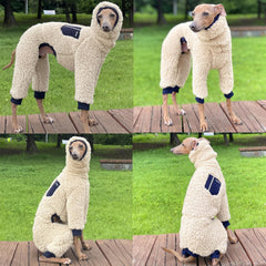 Doggystar galgo italien manteau pratique pour les promenades hivernales.