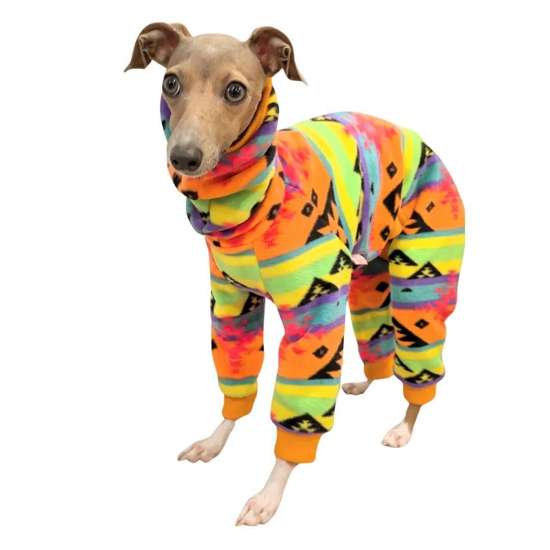 Doggystar gilet nordique pour iggy, chaleur durable et confort en hiver.