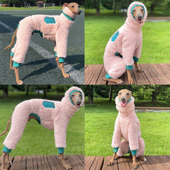 Doggystar guide des tailles S à 3XL pour un ajustement parfait.