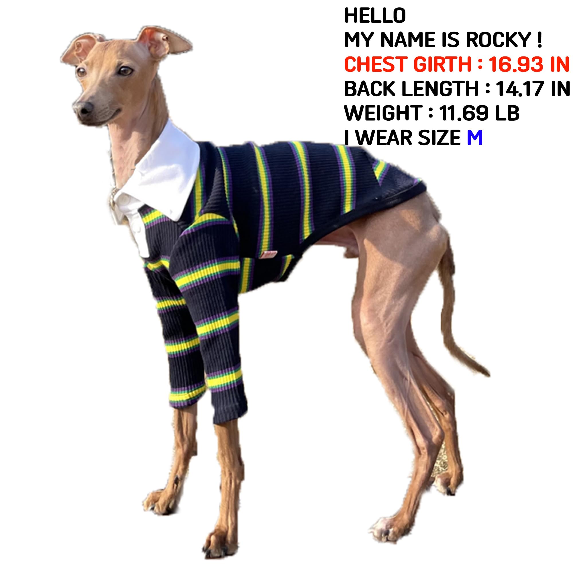 Doggystar haut chien col côtelé bleu marine 3XL, facile à enfiler et ajusté.