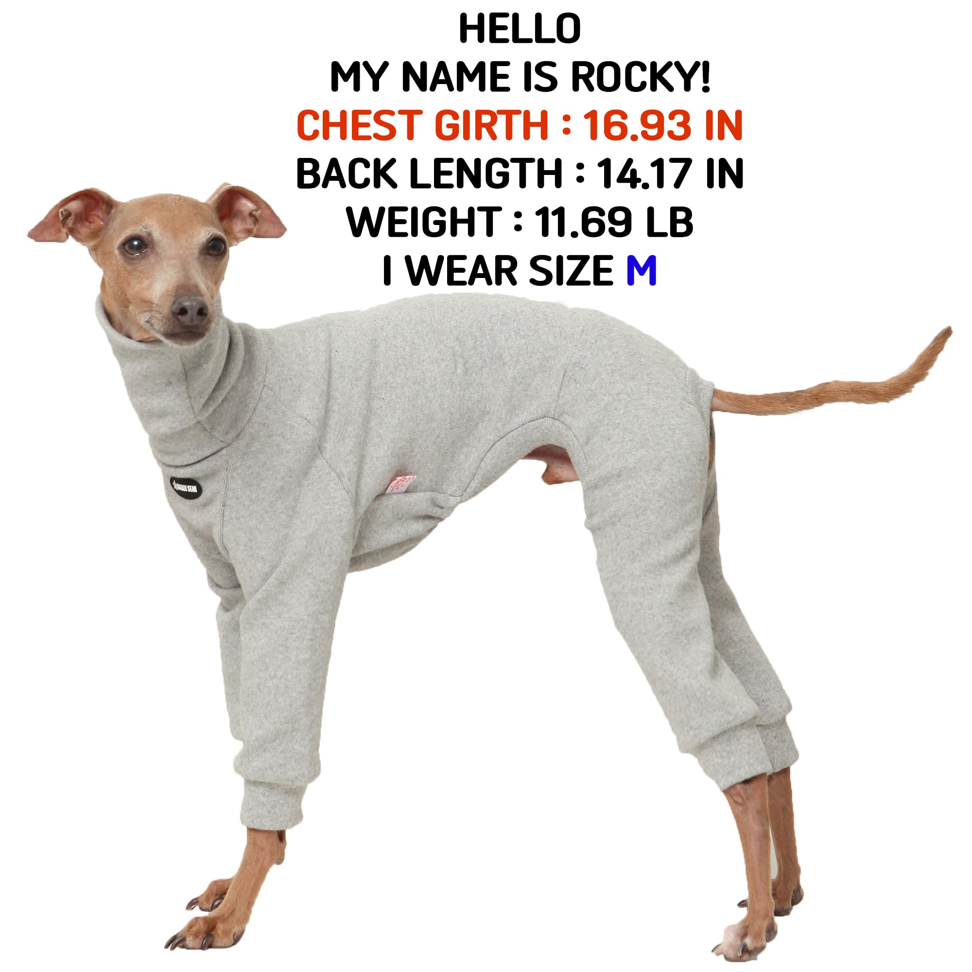 Doggystar Col roulé pour Iggy, tissu stretch offrant mobilité et douceur