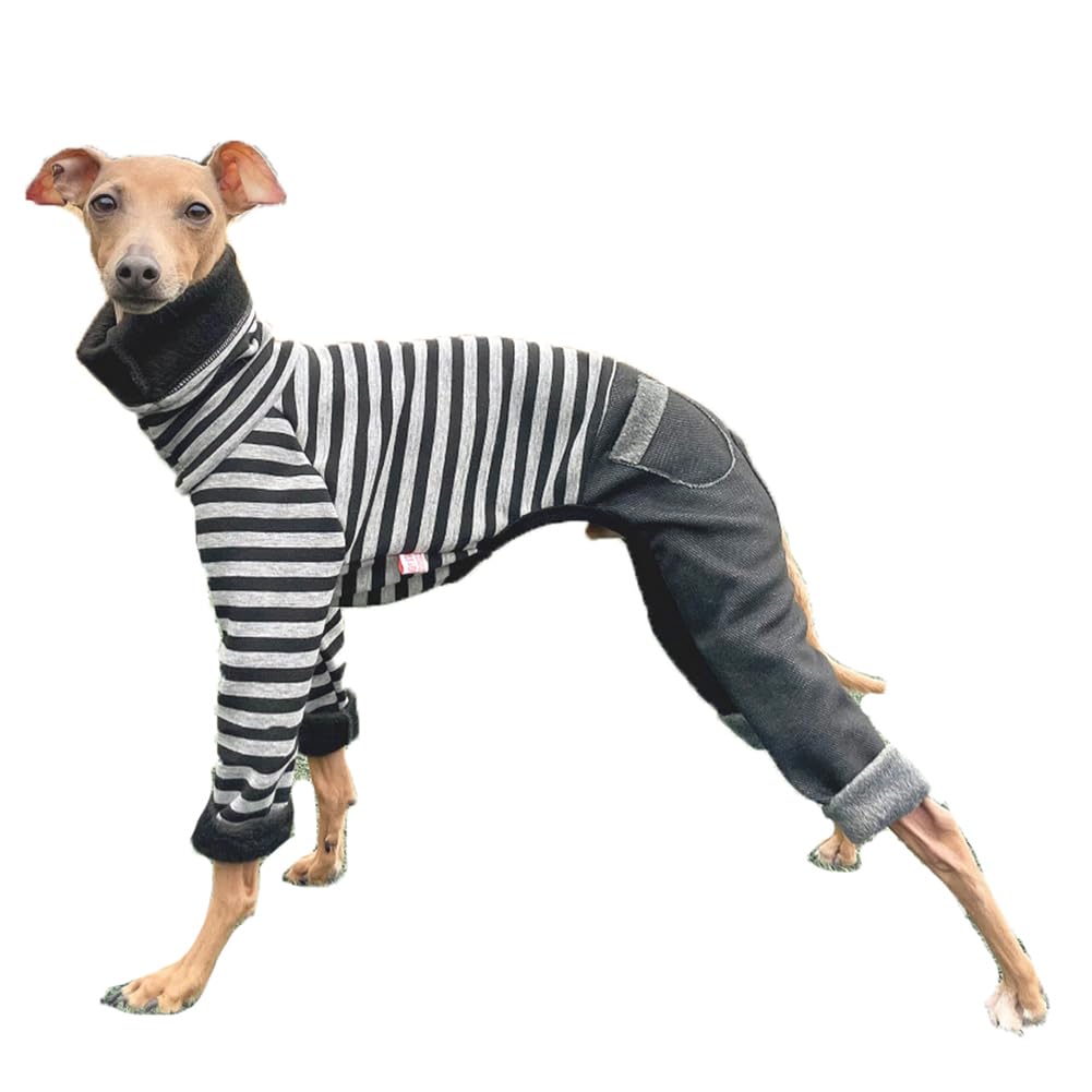 Doggystar tenue denim rayures pour lévrier italien, confort et style en balade.