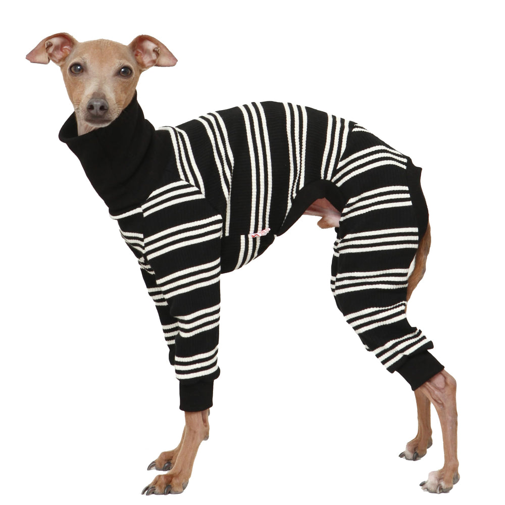 Doggystar grenouillère lévrier italien ivoire rayée, douceur et confort au quotidien.