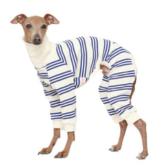 Doggystar combinaisons bleu rayure pour lévrier italien, confort doux et enfiler facilement.
