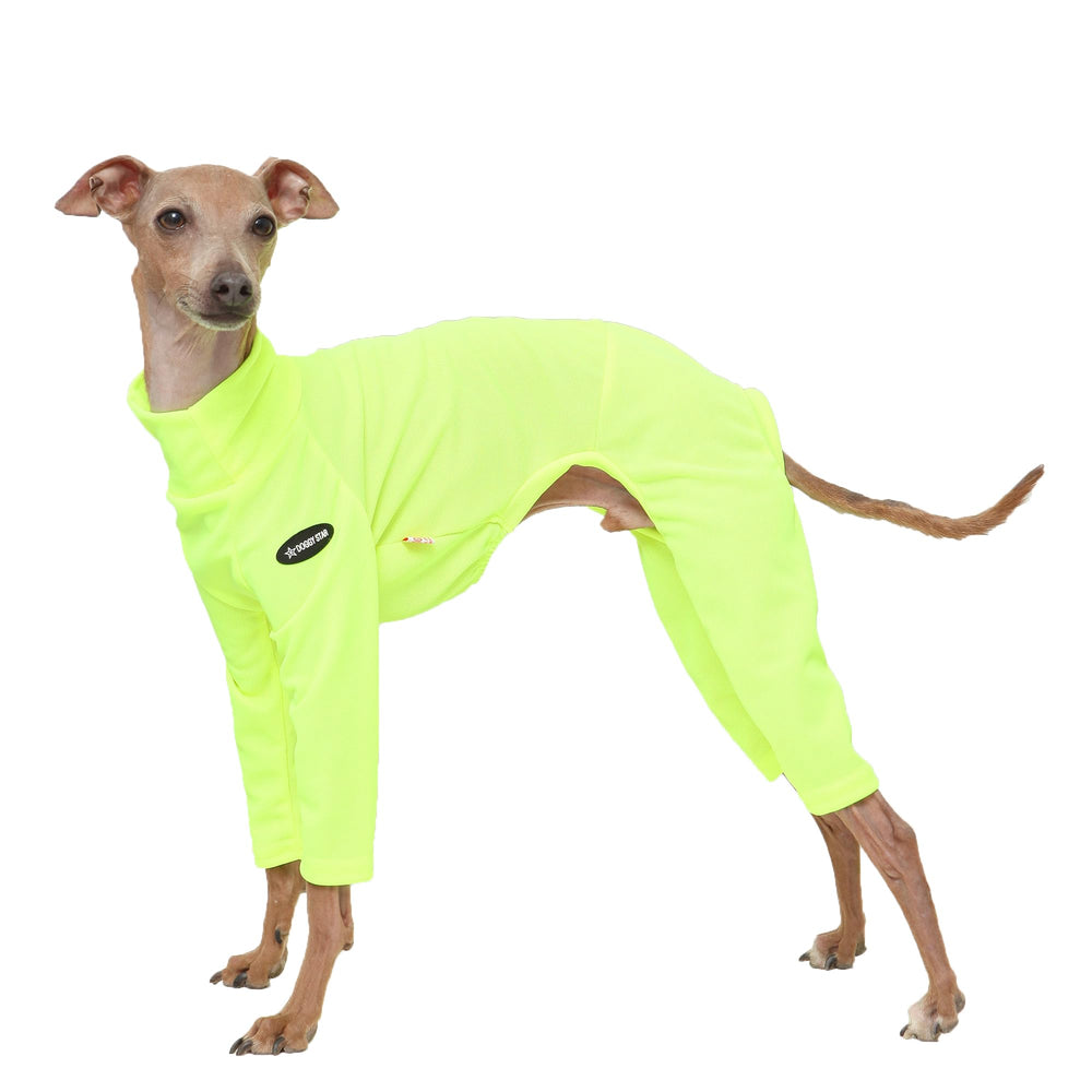 Doggystar onesie néon jaune pour greyhound italien, facile à enfiler lors des sorties.