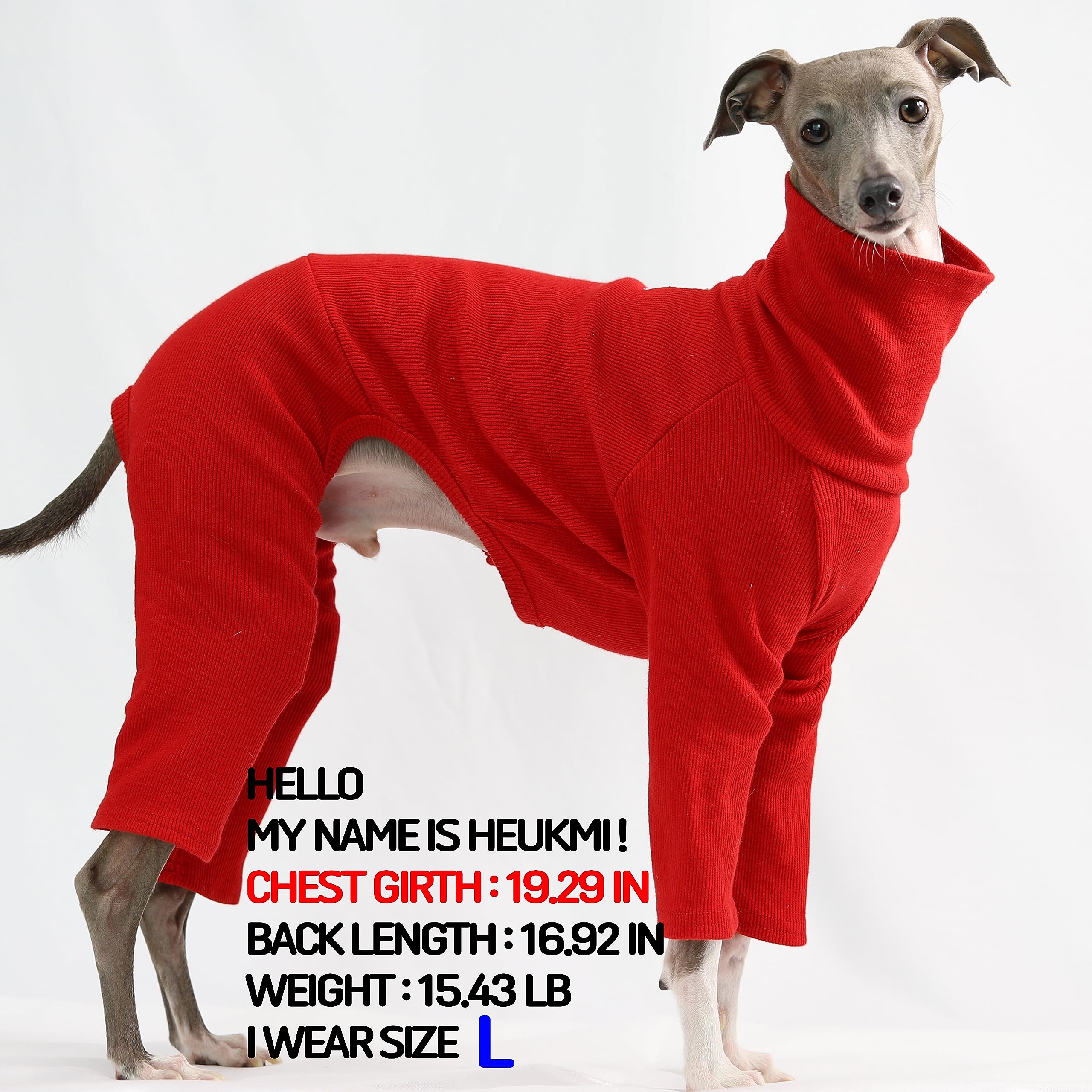 Doggystar dos du vêtement rouge pour lévrier italien, confort et liberté de mouvement.