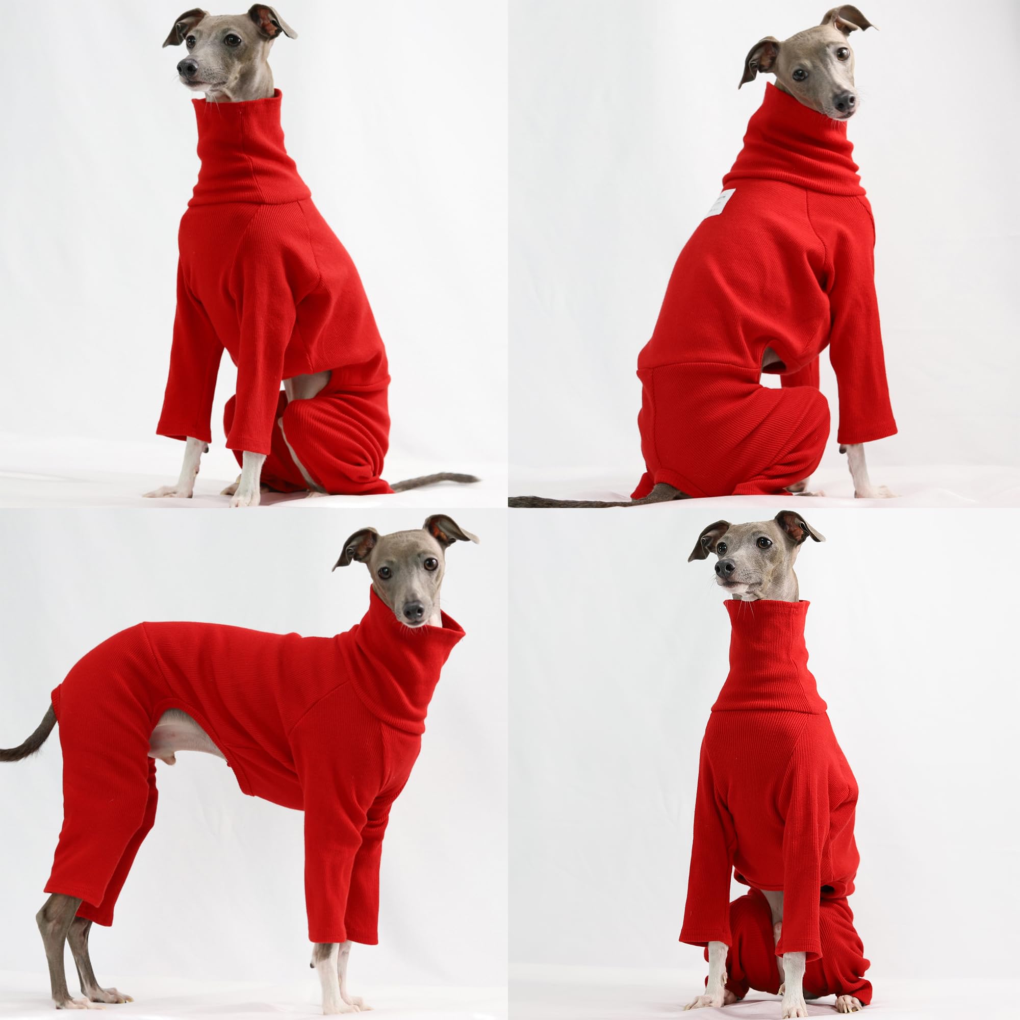 Doggystar manches longues rouge, mouvements sans pression.