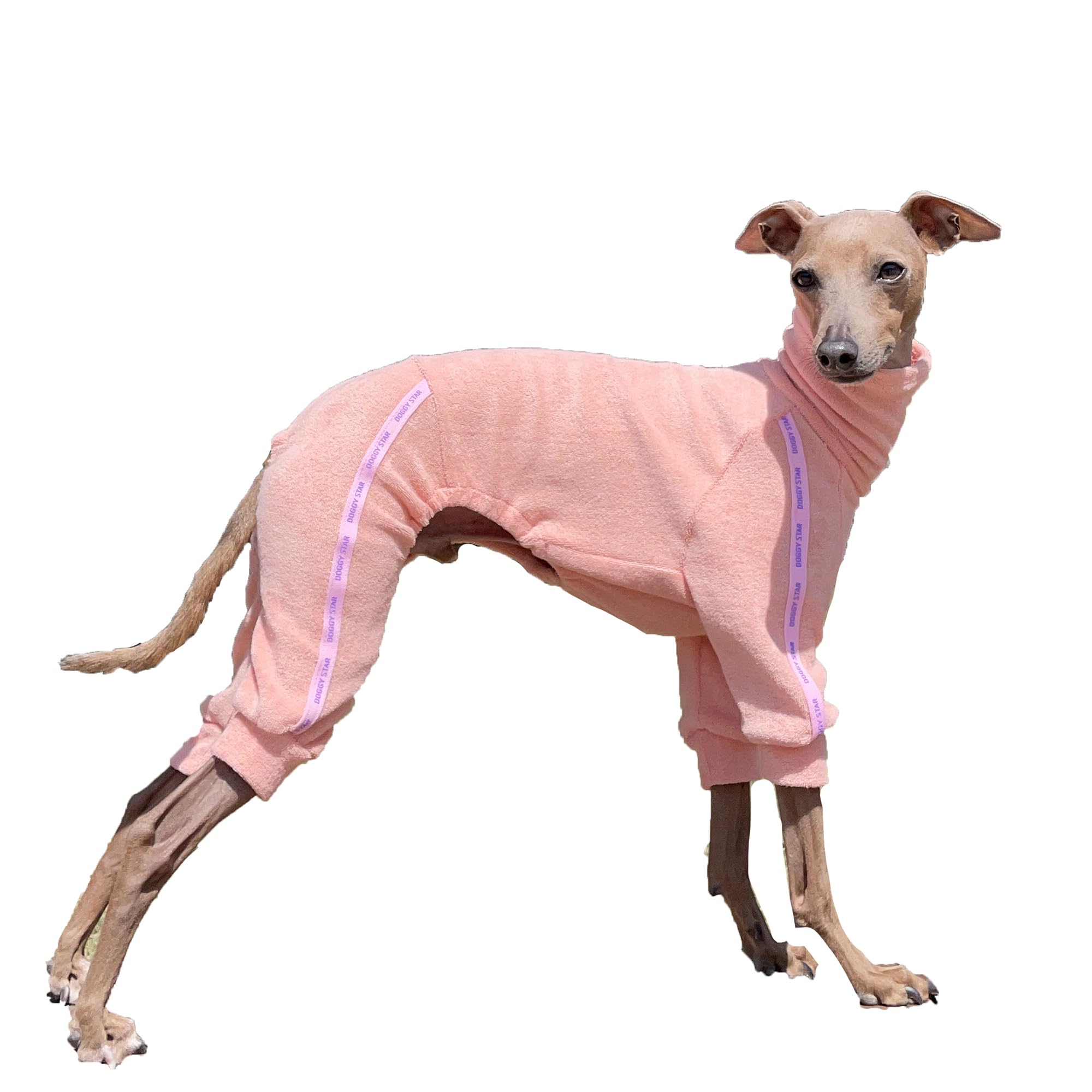 Doggystar veste elastique pour chien, vue avant, confort et liberté de mouvement.