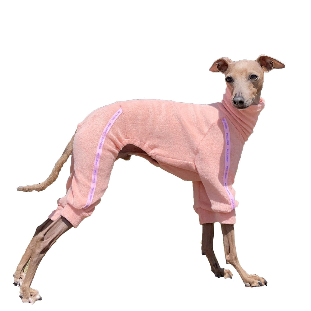 Doggystar veste elastique pour chien, vue avant, confort et liberté de mouvement.