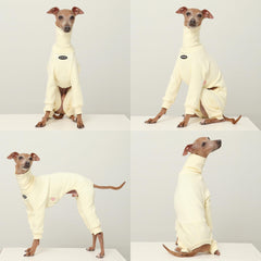 Ensemble tout-en-un Doggystar pour le lévrier italien, coupe élastique et liberté de mouvement.