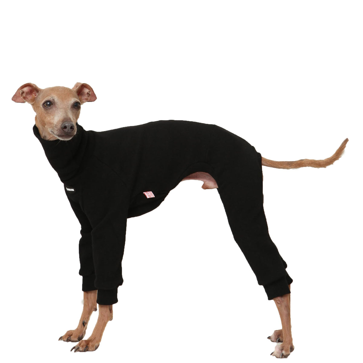 Veste doggystar pour lévrier italien, gilet col roule, chaleur douce et confortable.