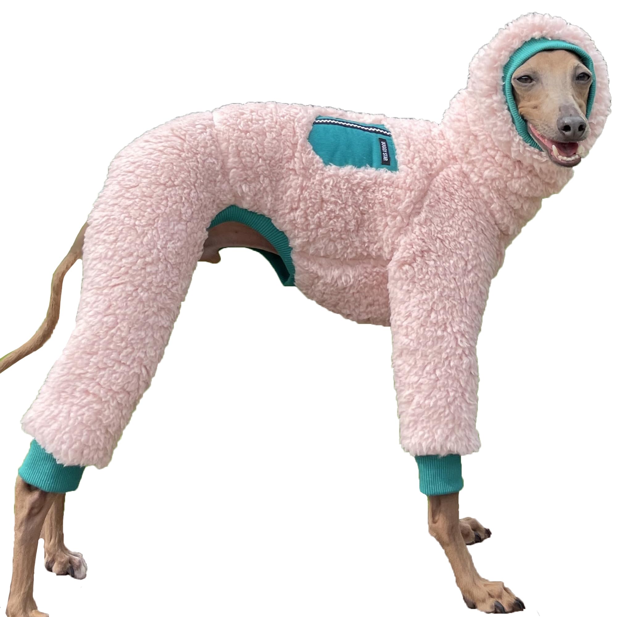 Doggystar lévrier italien pull col roulé vue avant pour chaleur hivernale.