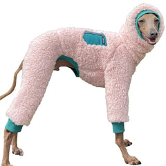 Doggystar lévrier italien pull col roulé vue avant pour chaleur hivernale.