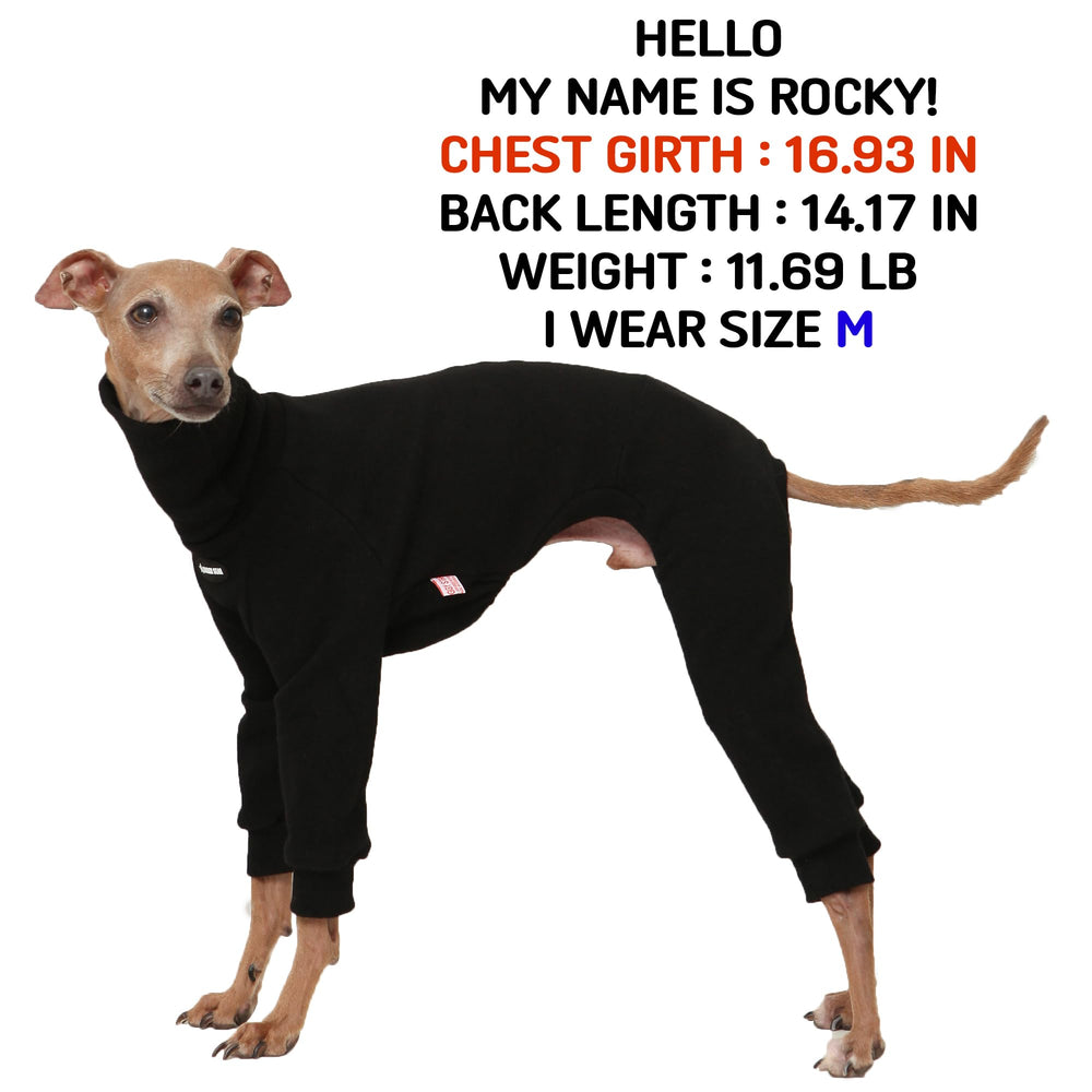 Vêtement doggystar à texture brossée douce pour lévrier italien lors des journées froides.