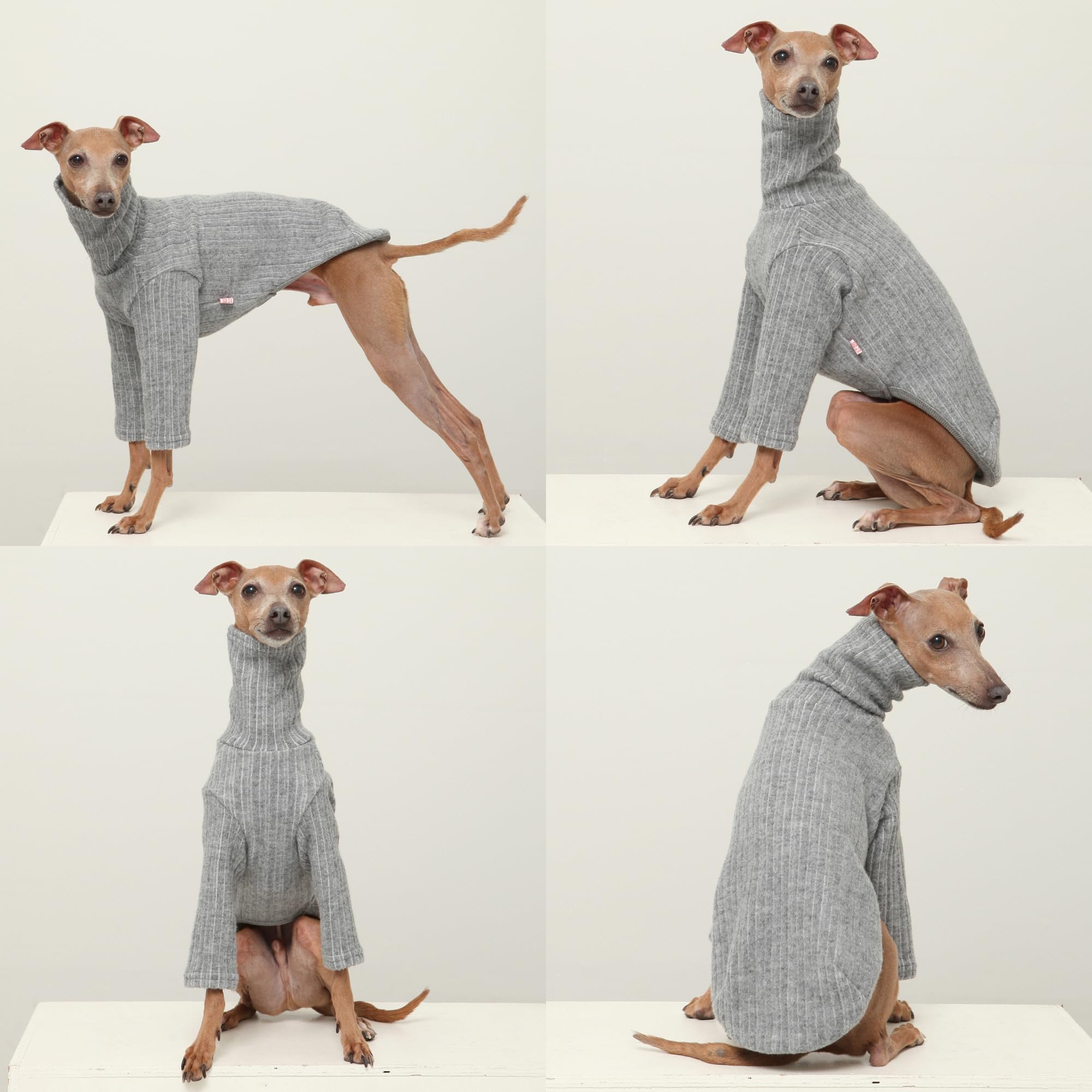 Doggystar maille brossée gris, douceur et isolation légère.