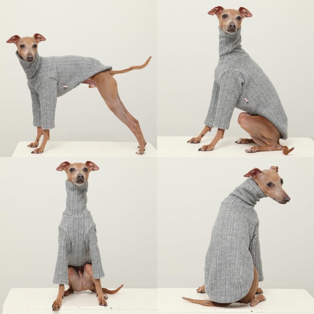 Doggystar maille brossée gris, douceur et isolation légère.