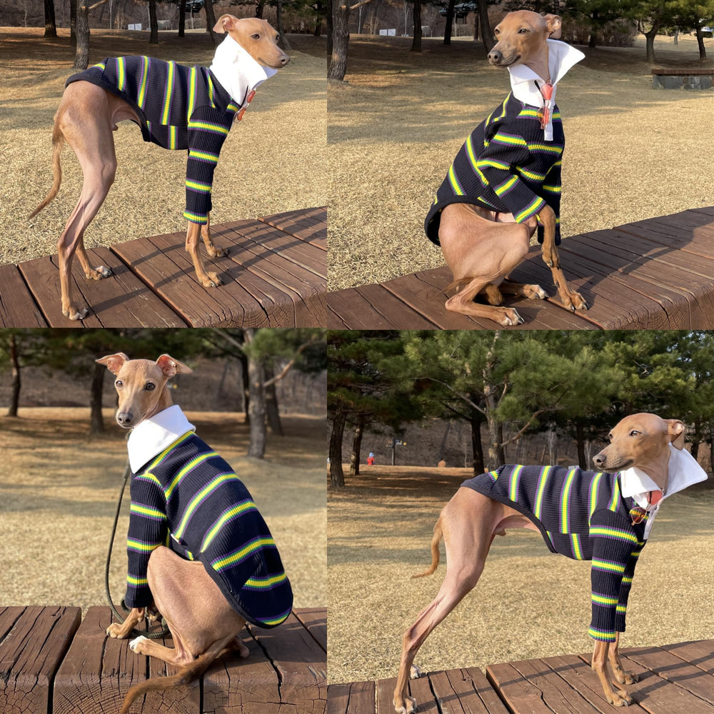 Doggystar maillot chien col côtelé bleu marine 3XL, mouvement libre assuré.