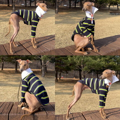 Doggystar maillot chien col côtelé bleu marine 3XL, mouvement libre assuré.