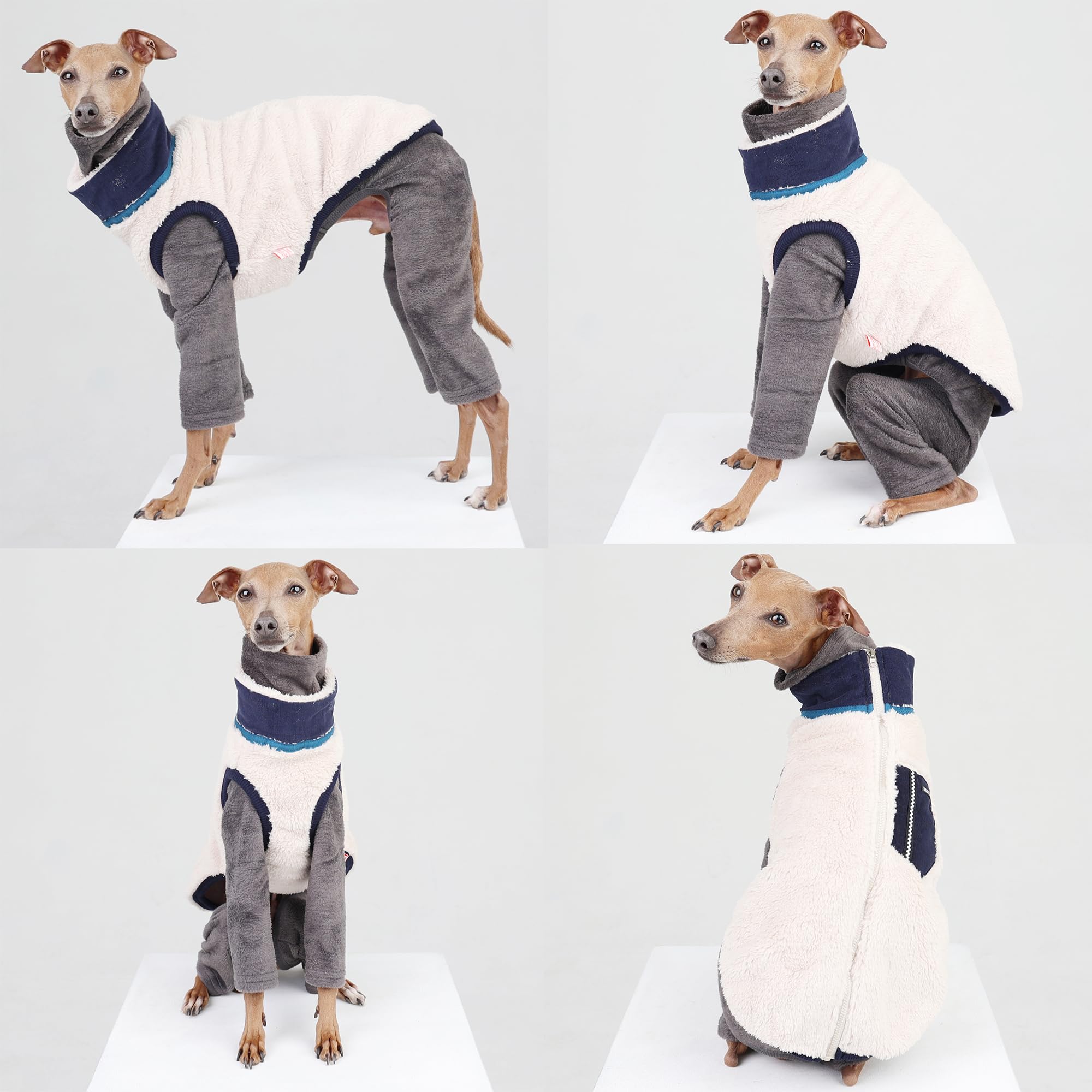 Doggystar manteau douillet navy, fermeture zippée pour chiens actifs.