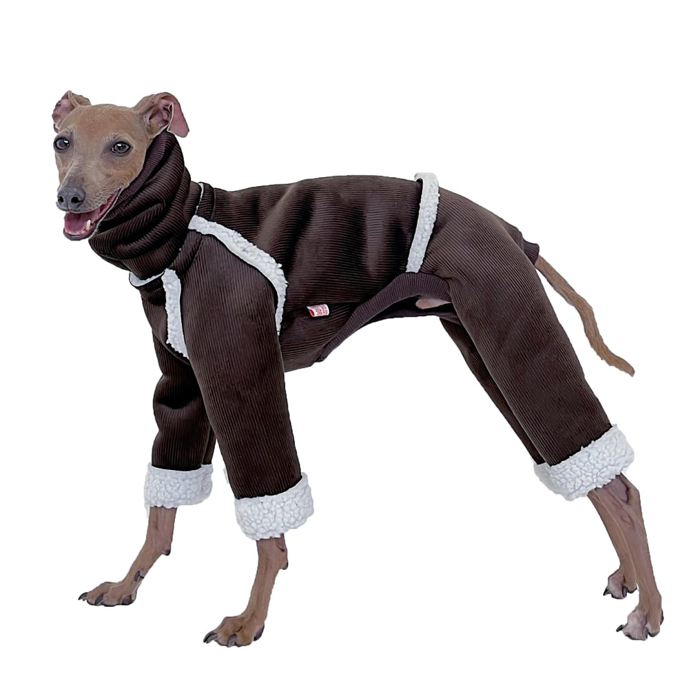 Doggystar manteau hiver velours cote lévrier italien, chaleur durable pour sorties hivernales
