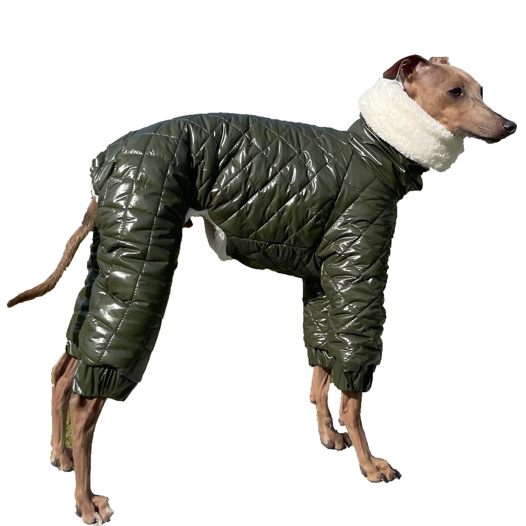 doggystar manteau-neige-italian-greyhound avant, protection thermique en promenade hivernale