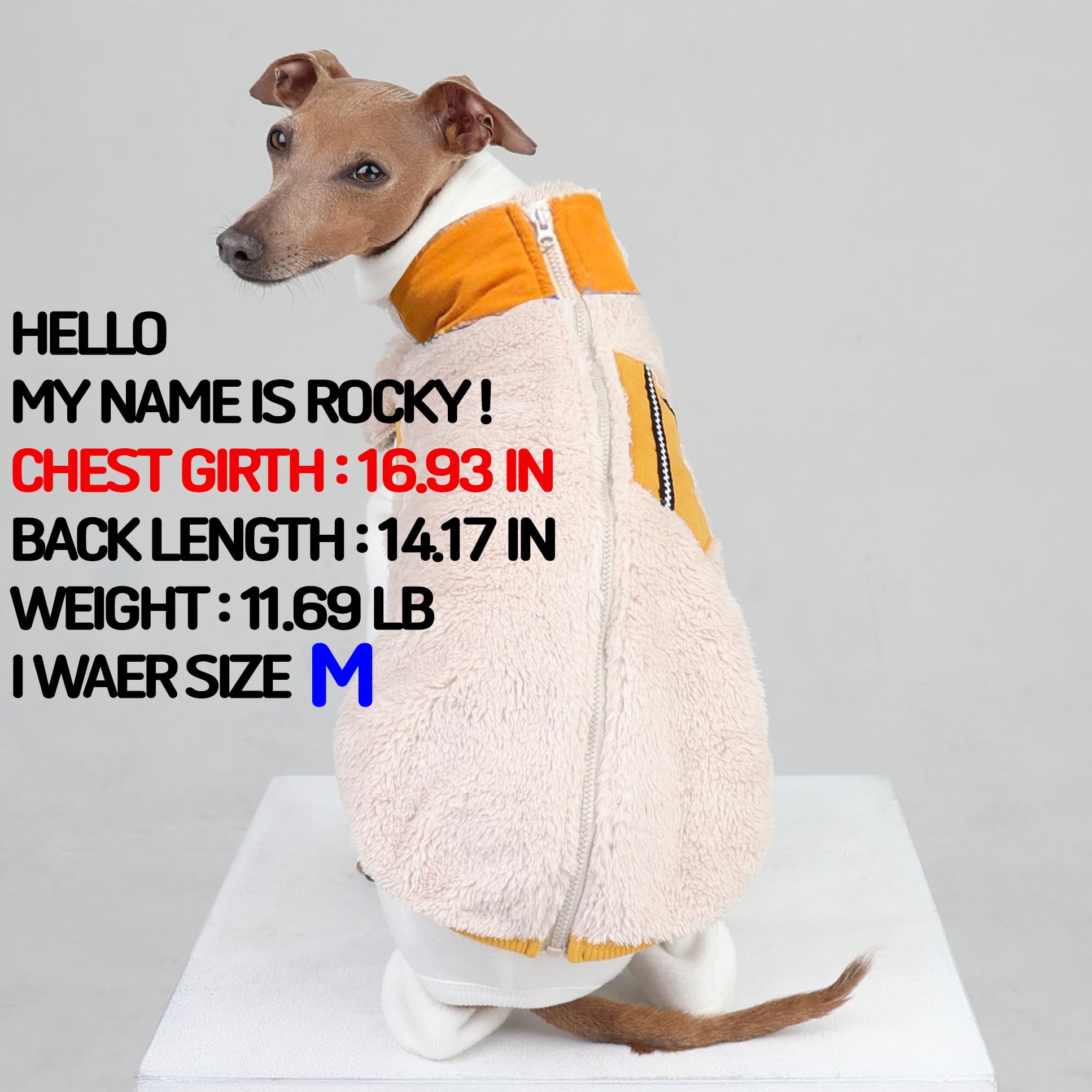 Manteau polaire D Doggy Star pour whippet, encolure pratique et fermeture sécurisée.