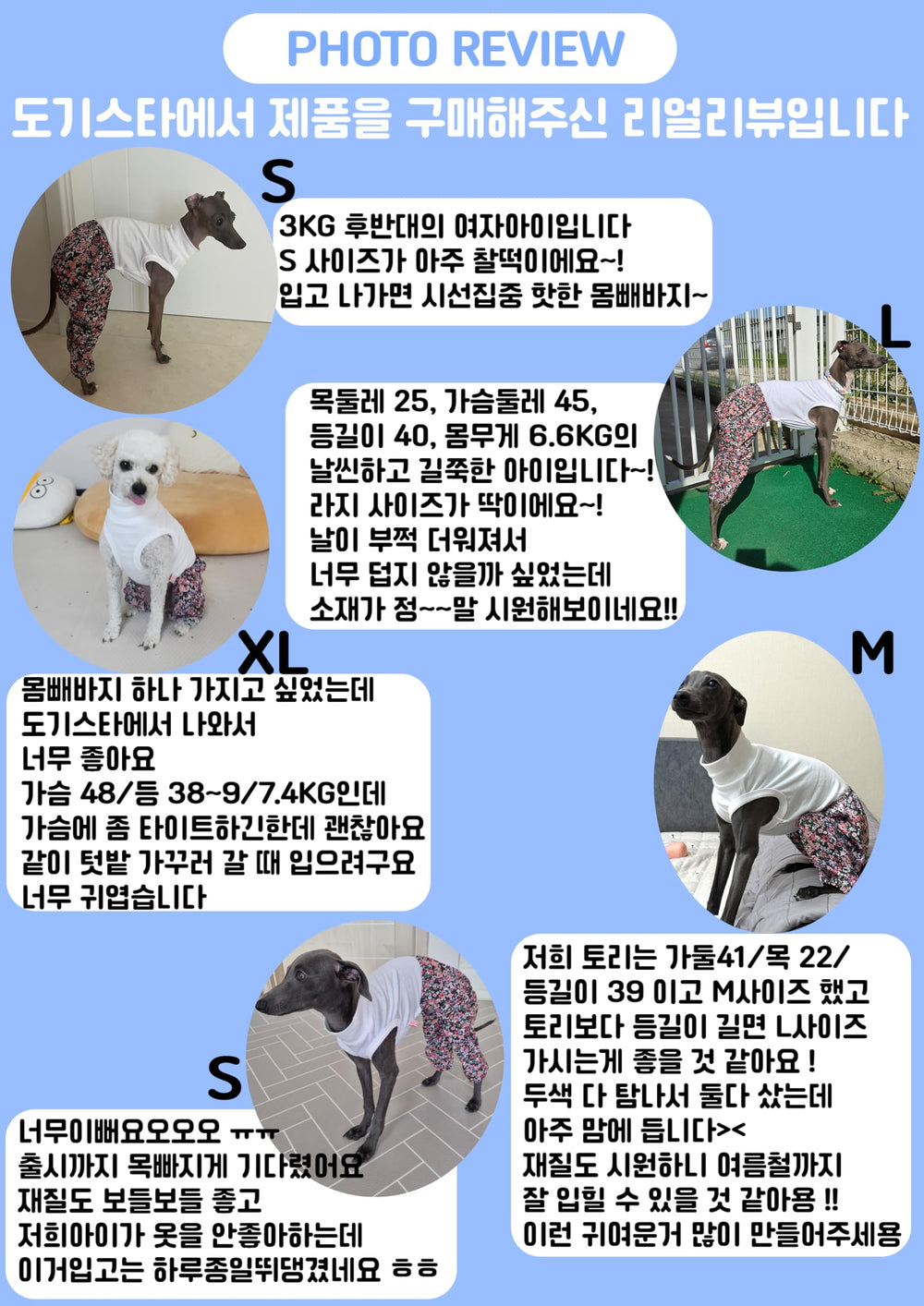 Doggystar manteau léger prêt pour activités et jeux canins