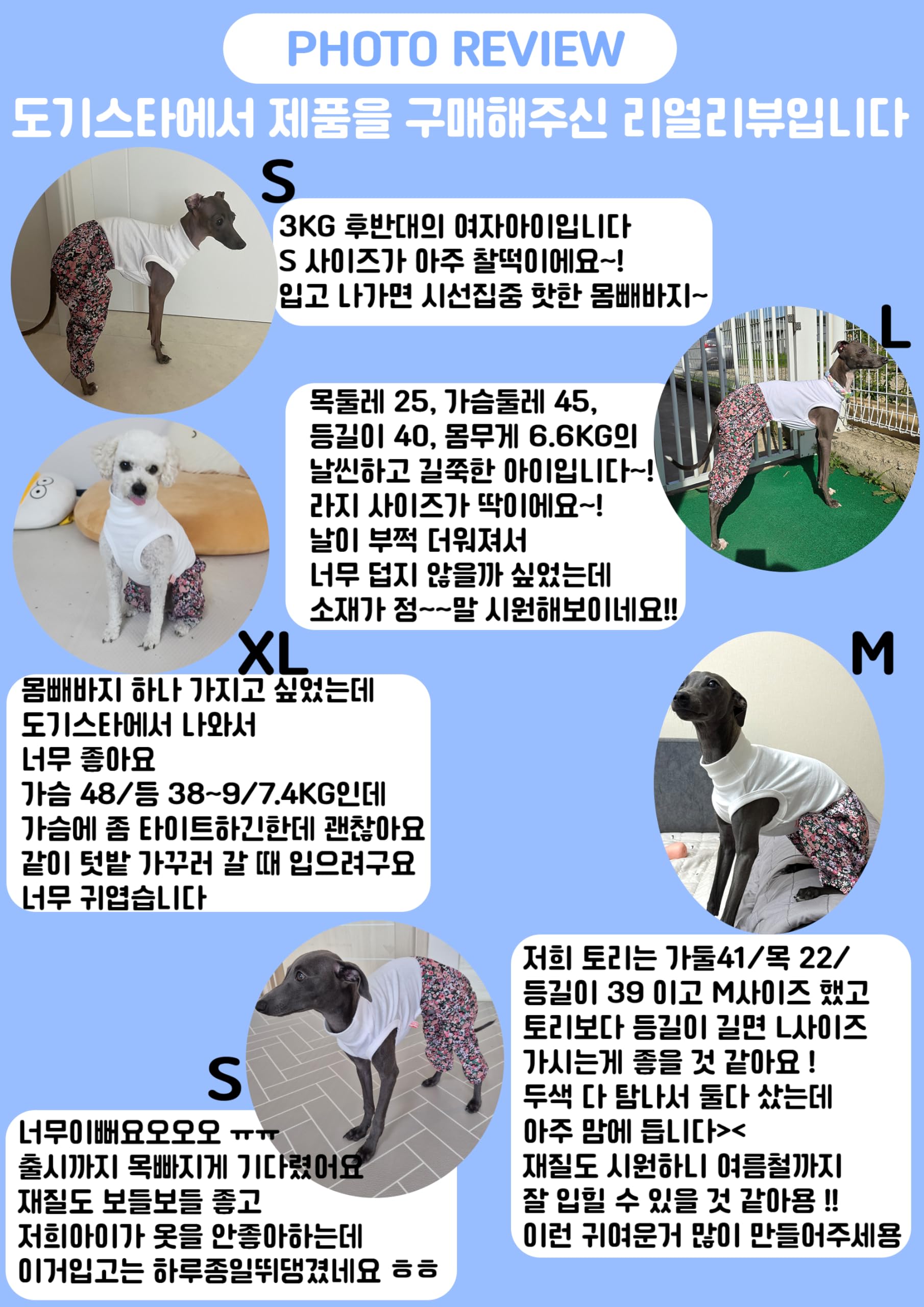 Doggystar Mombbe-design-facile-a-porter-et-enlever, pratique au quotidien.