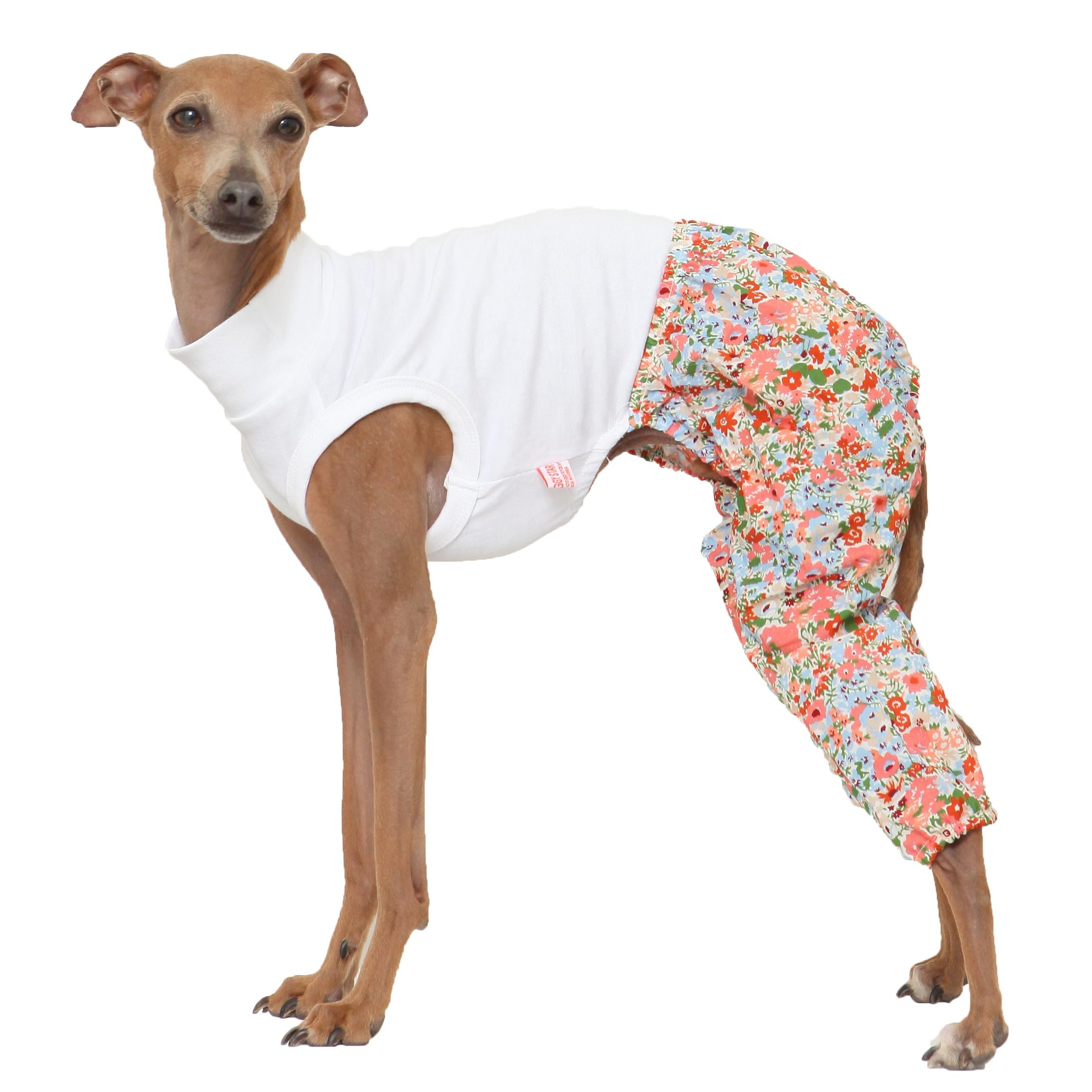 Doggystar Mombbe Orange Onesie-devant, facile à enfiler pour lévrier italien.