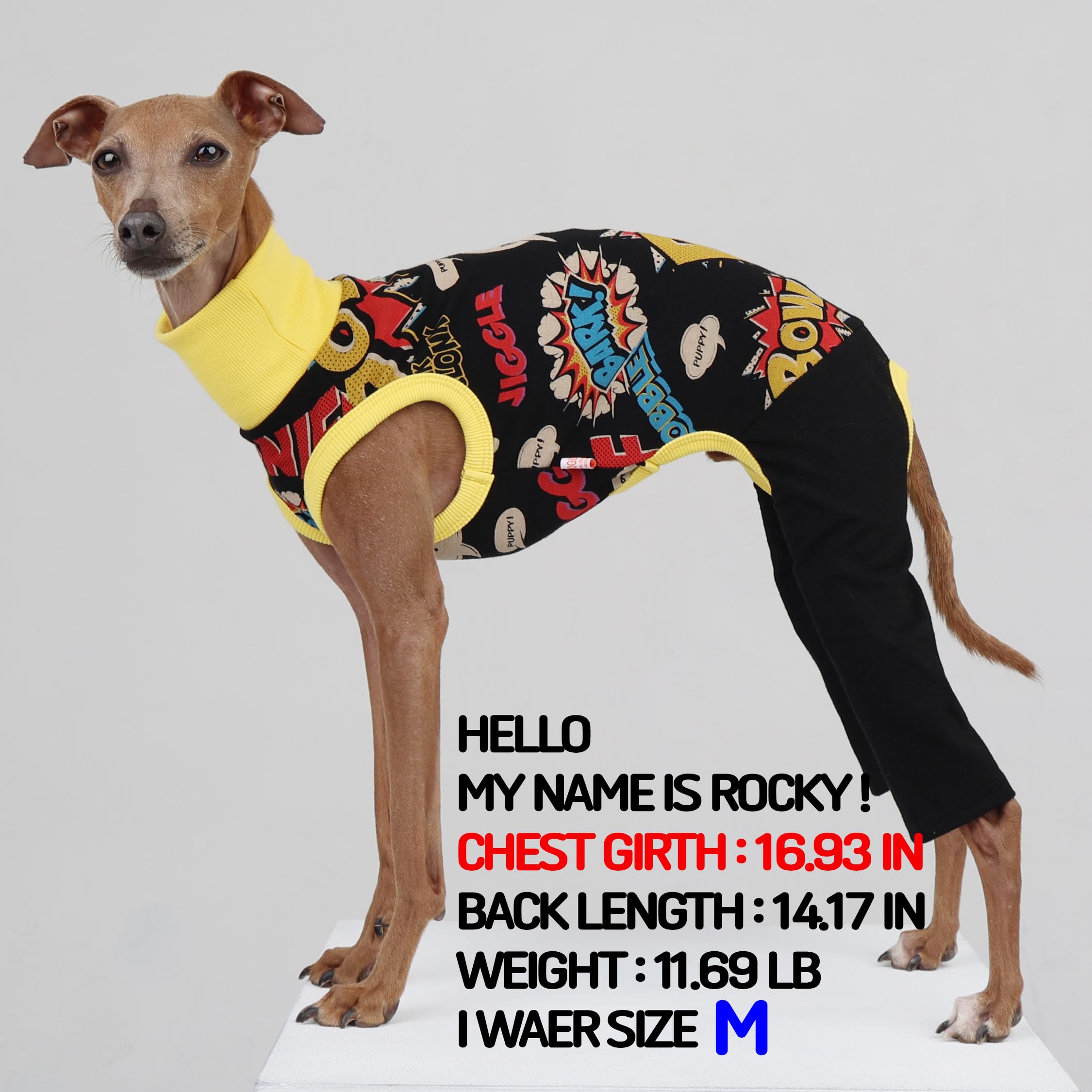 Doggystar vue avant: tenue élégante et facile à enfiler
