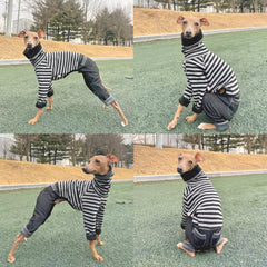 Doggystar ouverture facile denim noir, sans effort pour chien actif.