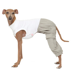Doggystar pantalon cargo pour lévrier italien, confort et liberté lors des sorties.