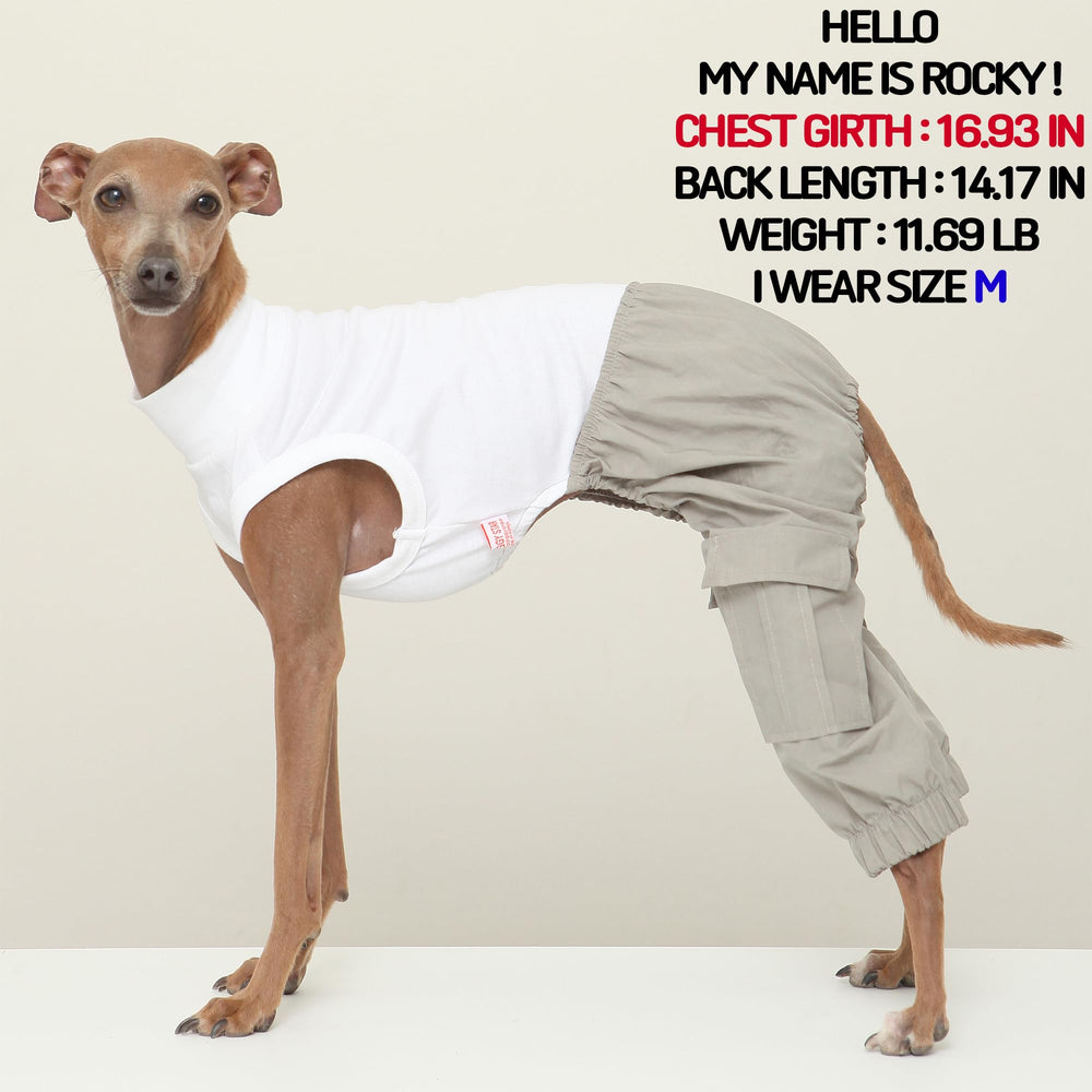 Doggystar pantalon cargo pour whippet, faciles à enfiler et ajustement sécurisé.