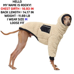 Doggystar poche intégrée ajoute style et praticité lors des sorties.