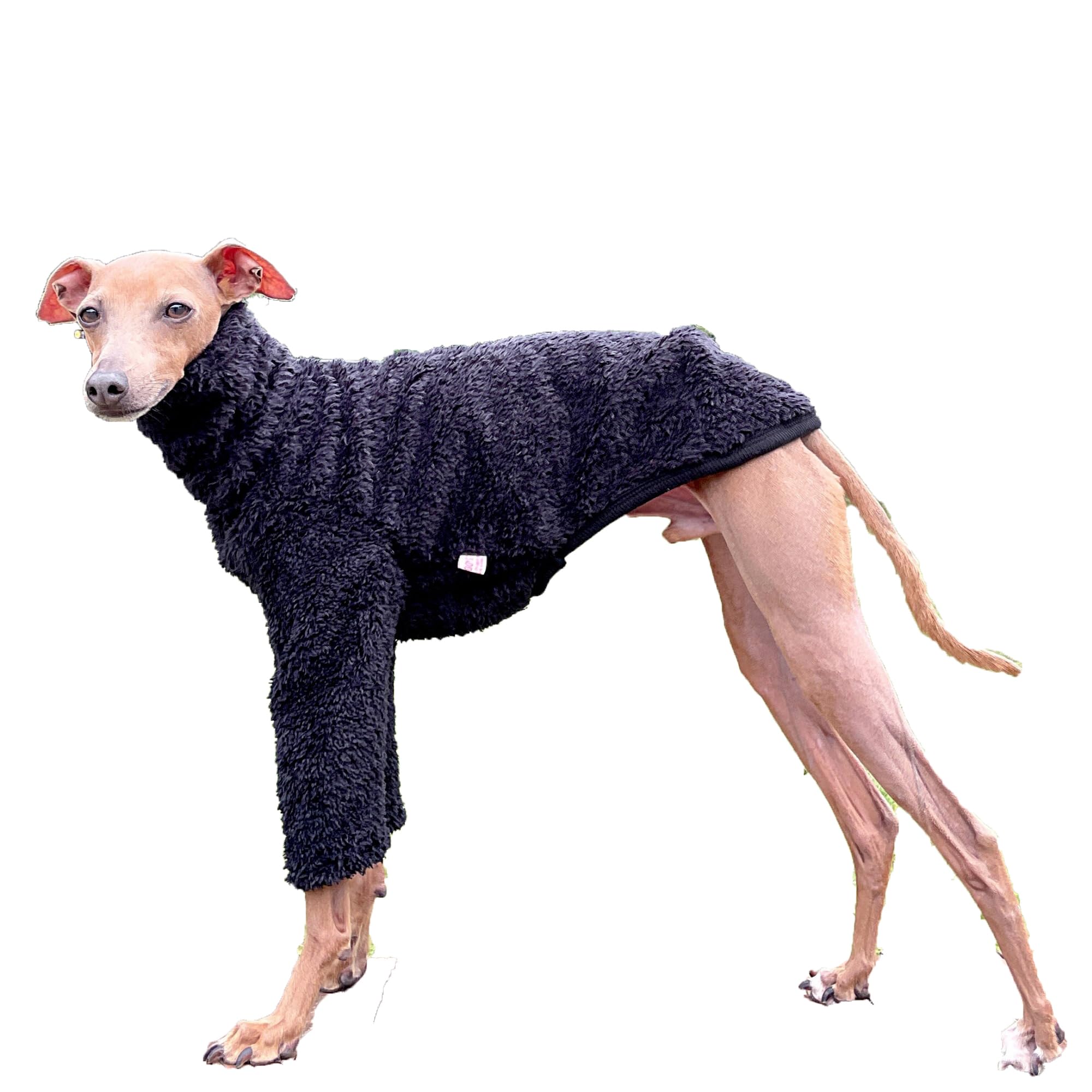 doggystar veste polaire iggy ensemble vue d ensemble chaleur pour balades