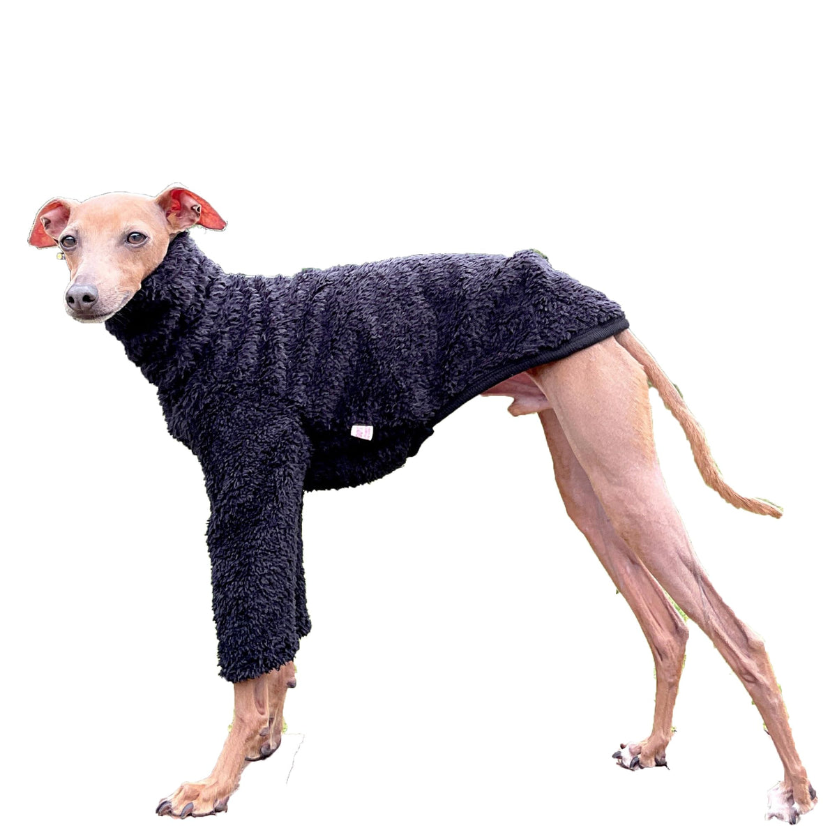 doggystar veste polaire iggy ensemble vue d ensemble chaleur pour balades