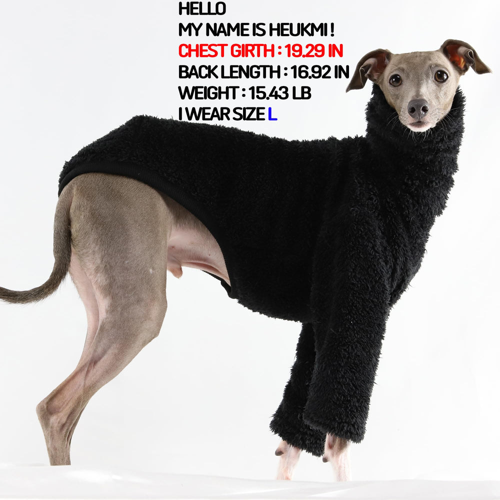 doggystar noir 3xl: taille adaptée pour iggy à pelage sombre
