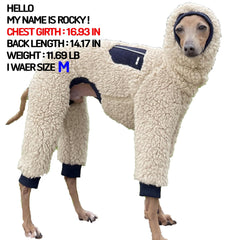 Doggystar pull col roulé polaire — vue dos, longueur adaptée pour iggy.