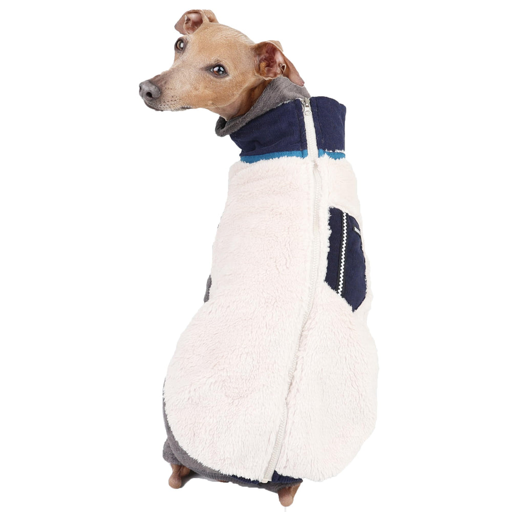 Doggystar pull zippe navy pour Italian Greyhound, chaleur pratique lors des sorties.