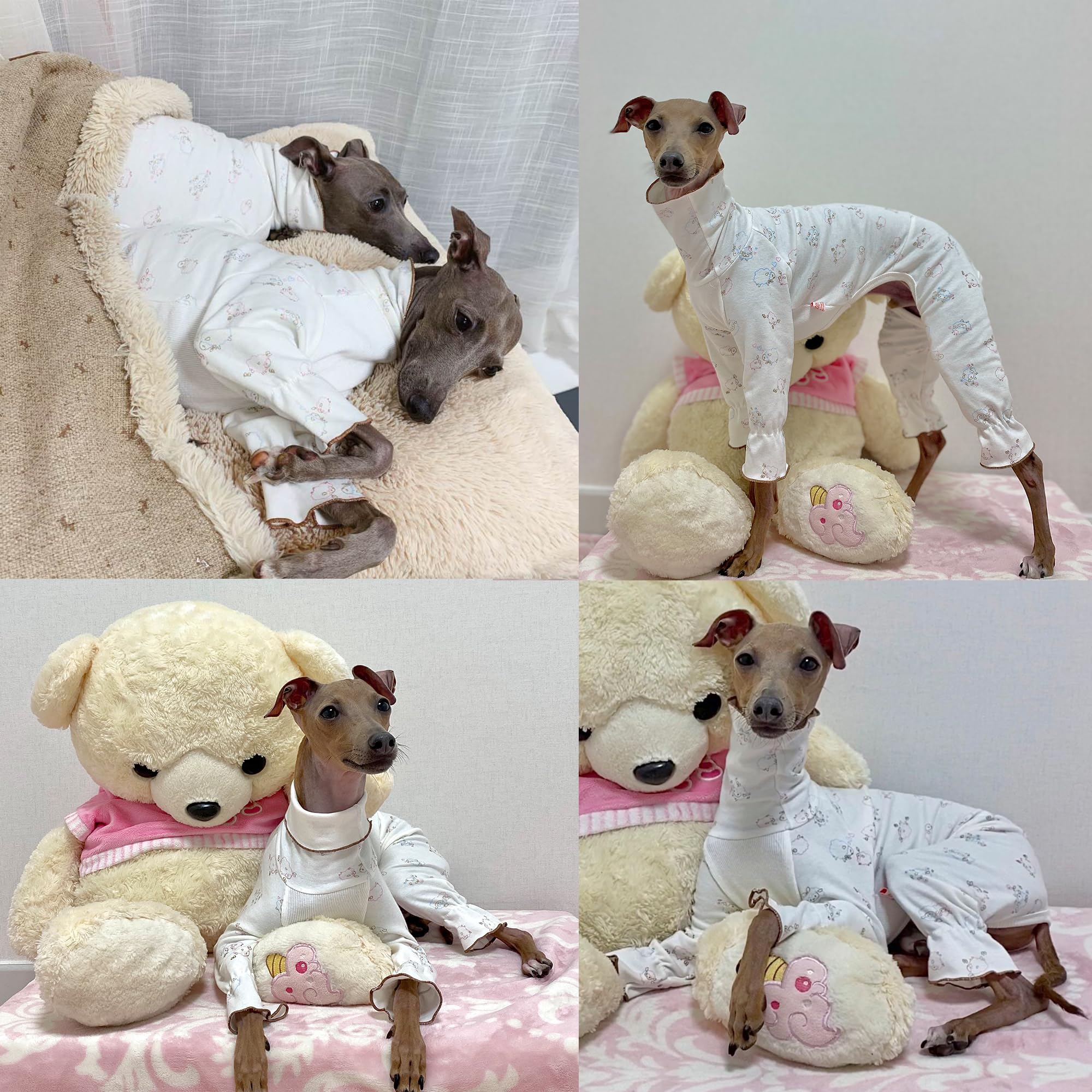 Doggystar pyjama iggy lévrier italien face coton doux peau sensible