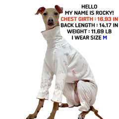 Doggystar pyjama whippet profil chaleur légère intérieur