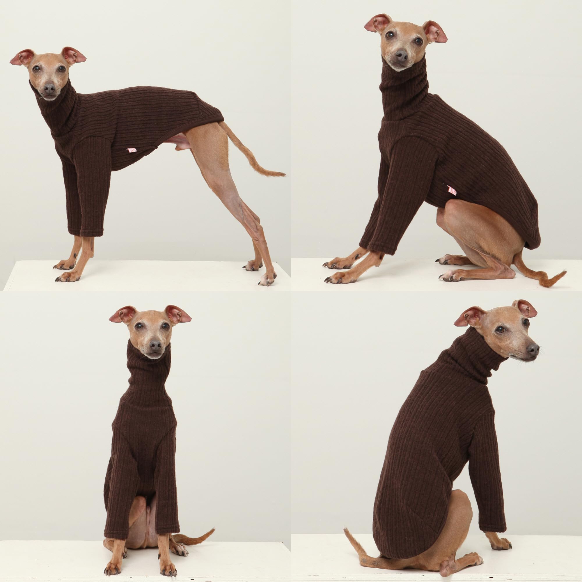 Texture tricot douce Doggystar, idéal pour l'automne et l'hiver.