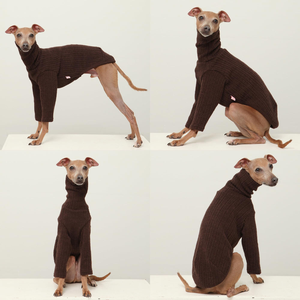 Texture tricot douce Doggystar, idéal pour l'automne et l'hiver.