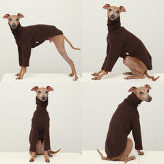 Texture tricot douce Doggystar, idéal pour l'automne et l'hiver.