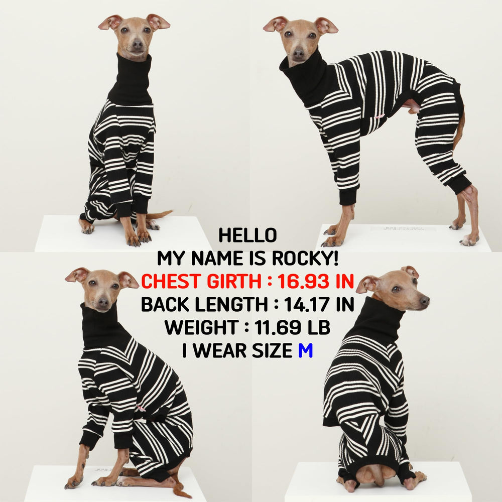 doggystar tricot coton doux ensemble pour mobilité souple chez le chien