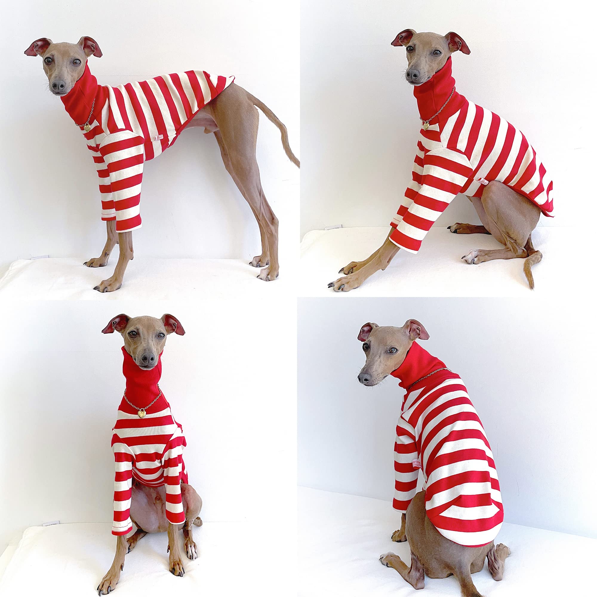 Doggystar T-shirt coton élastique, douceur et mobilité pour promenades.